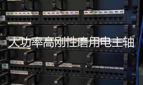 大功率高剛性磨用電主軸