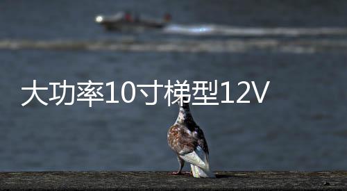 大功率10寸梯型12V24V改裝汽車(chē)載有源低音炮220V插卡藍(lán)牙音響音箱