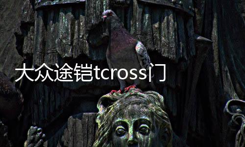 大眾途鎧tcross門(mén)槽墊途凱裝飾汽車(chē)用品車(chē)內(nèi)改裝內(nèi)飾配件愷水杯墊