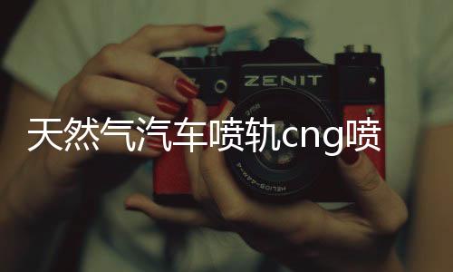 天然氣汽車噴軌cng噴軌油改氣燃?xì)飧难b配件高速靜音共軌頭噴氣嘴