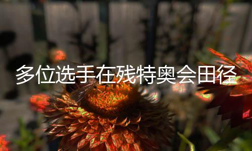 多位選手在殘?zhí)貖W會(huì)田徑（馬拉松）項(xiàng)目刷新全國(guó)紀(jì)錄