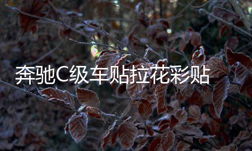 奔馳C級車貼拉花彩貼 反光鏡后視鏡裝飾改裝貼紙S級 C63 GLC C200