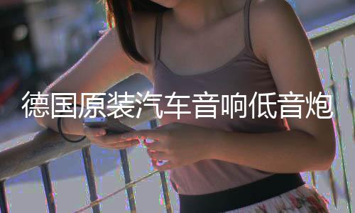 德國原裝汽車音響低音炮D類數(shù)字單路功放3000W雙音圈大功率功放板