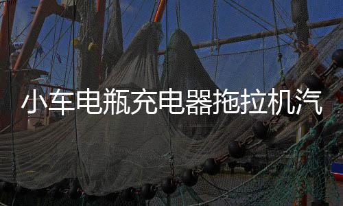 小車(chē)電瓶充電器拖拉機(jī)汽車(chē)AGM蓄電池全自動(dòng)保護(hù)12V24V快速充電機(jī)