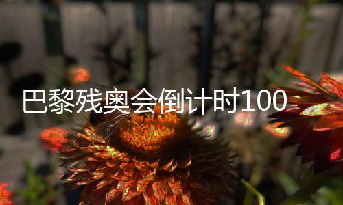 巴黎殘奧會倒計時100天 我國已獲19個大項參賽資格