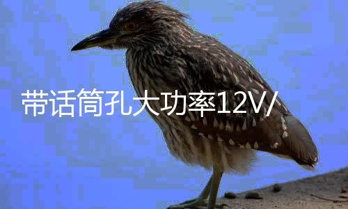 帶話筒孔大功率12V/220V車車載藍(lán)牙低音炮功放板汽車音響功放板