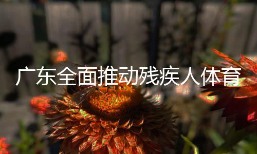廣東全面推動殘疾人體育事業(yè)高質(zhì)量發(fā)展 殘疾人運(yùn)動佳績不斷