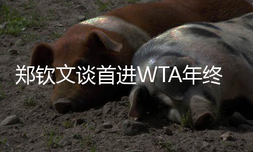 鄭欽文談首進WTA年終總決賽：先把身體與精神恢復到最佳狀態(tài)
