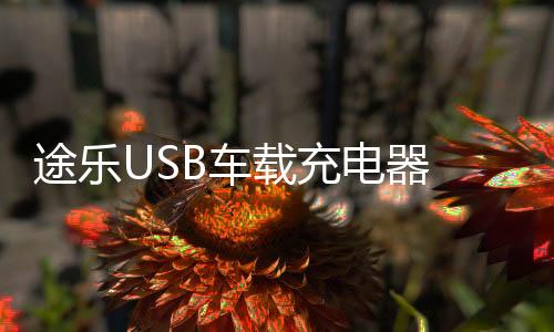 途樂USB車載充電器 涂樂快充USB接口改裝配件車載USB充電口