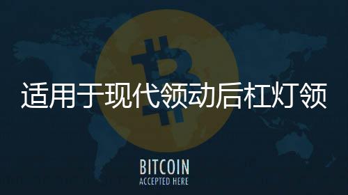 適用于現(xiàn)代領(lǐng)動(dòng)后杠燈領(lǐng)動(dòng)日行燈改裝LED后霧燈流光尾燈改裝配件
