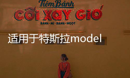 適用于特斯拉model3 modely門檻條保護(hù)防踢迎賓踏板改裝內(nèi)飾配件