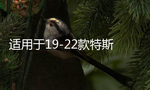 適用于19-22款特斯拉model3音響激活升級(jí)喇叭改裝線(xiàn)解鎖線(xiàn) 8升12