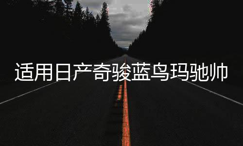 適用日產奇駿藍鳥瑪馳帥客頤達勁客汽車前門后門音響喇叭無損升級
