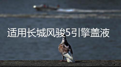 適用長城風(fēng)駿5引擎蓋液壓桿改裝風(fēng)駿6/7 c50 M4炫麗C30 H3 H5支撐