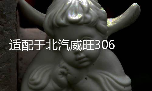 適配于北汽威旺306 307 后尾燈總成尾燈燈罩倒車剎車燈后燈配件