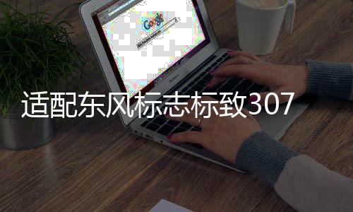 適配東風(fēng)標(biāo)志標(biāo)致307凱旋世嘉正極線 汽車電瓶蓄電池正級(jí)電纜配件