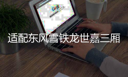 適配東風(fēng)雪鐵龍世嘉三廂 新款老款 高位剎車燈第三制動(dòng)燈汽車配件