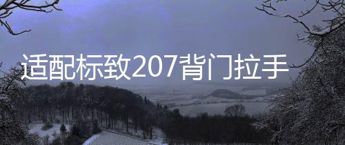適配標(biāo)致207背門拉手 標(biāo)志206汽車后備箱拉手背門驅(qū)動(dòng)器電機(jī)配件