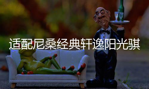 適配尼桑經(jīng)典軒逸陽光騏達(dá)新藍(lán)鳥1.6L原裝55B24L電瓶瓦爾塔蓄電池