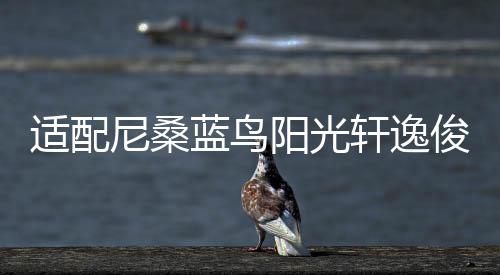 適配尼桑藍鳥陽光軒逸俊逸頤達騏達逍客原裝瓦爾塔蓄電池汽車電瓶