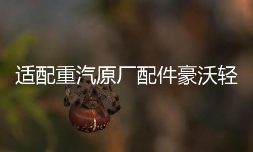 適配重汽原廠配件豪沃輕卡剎車燈開關(guān)統(tǒng)帥悍將雙觸點(diǎn)制動(dòng)燈感應(yīng)器