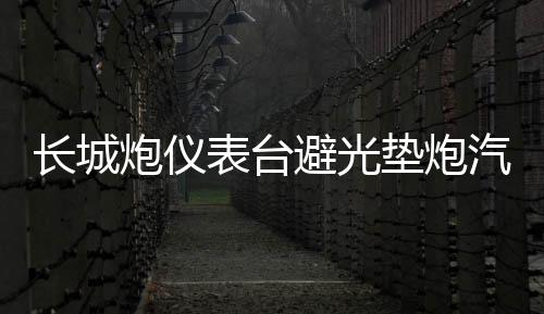 長城炮儀表臺避光墊炮汽車內飾裝飾用品配件中控臺改裝防滑防曬墊