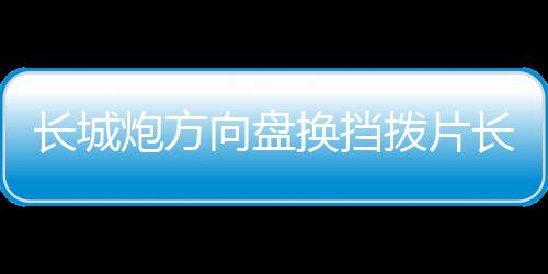 長(zhǎng)城炮方向盤換擋撥片長(zhǎng)城炮皮卡內(nèi)飾裝飾金屬改裝配件多色可選