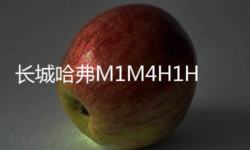 長(zhǎng)城哈弗M1M4H1H2H5H6H7汽車同軸喇叭音響全頻6.5寸改裝重低音炮