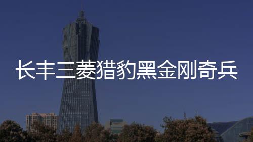 長豐三菱獵豹黑金剛奇兵飛騰6481內(nèi)飾改裝飾汽車配件儀表臺避光墊