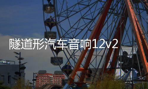 隧道形汽車音響12v24v車載藍(lán)牙低音炮220V音箱重低音大功率改裝