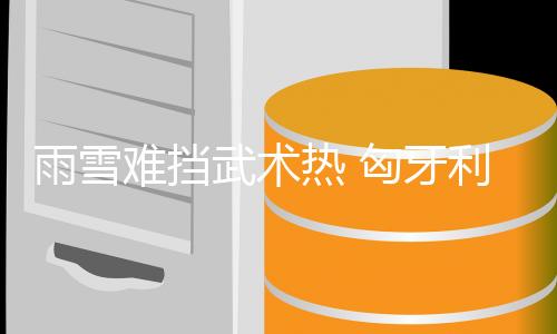 雨雪難擋武術(shù)熱 匈牙利“功夫高手”布達(dá)佩斯過(guò)招