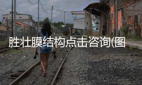 太原小區(qū)路燈廠家報(bào)價(jià)