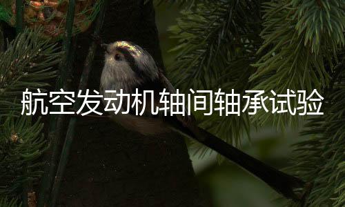 航空發(fā)動(dòng)機(jī)軸間軸承試驗(yàn)機(jī)
