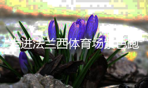 走進(jìn)法蘭西體育場紫色跑道，千分秒之差何以呈現(xiàn)？