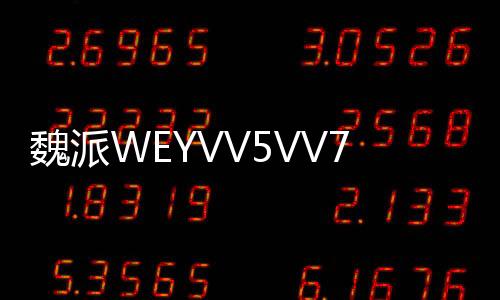 魏派WEYVV5VV7VV6儀表盤中控臺(tái)避光墊改裝配件汽車內(nèi)裝飾防曬用品