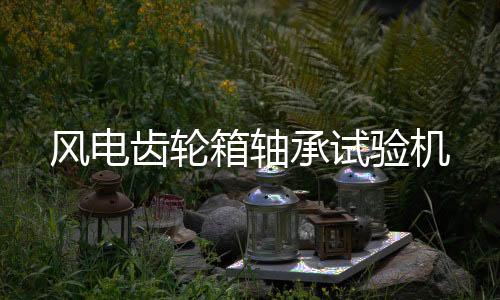風電齒輪箱軸承試驗機