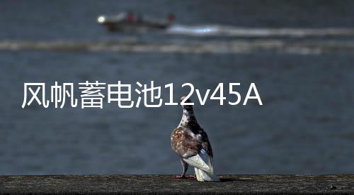 風(fēng)帆蓄電池12v45Ah現(xiàn)代悅納i30五菱宏光榮光V雅紳特46B24汽車電瓶