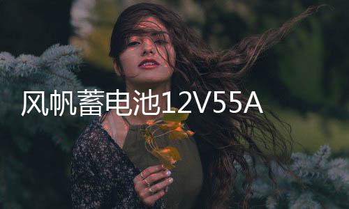 風(fēng)帆蓄電池12V55AH東風(fēng)風(fēng)神AX3傳祺GS4GA3/GS3吉利自由艦汽車電瓶