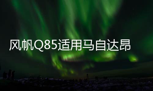 風(fēng)帆Q85適用馬自達(dá)昂克賽拉/CX-5/阿特茲/CR-V等汽車啟停EFB電瓶
