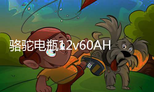 駱駝電瓶12v60AH適配伊蘭特吉利遠(yuǎn)景55D23東風(fēng)風(fēng)光580汽車蓄電池