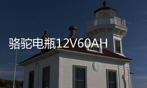 駱駝電瓶12V60AH適配科魯茲捷達(dá)愛麗舍明銳寶來汽車蓄電池L2-400