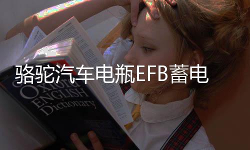 駱駝汽車電瓶EFB蓄電池60ah適配本田思域雅閣哈弗H6大眾寶來專用
