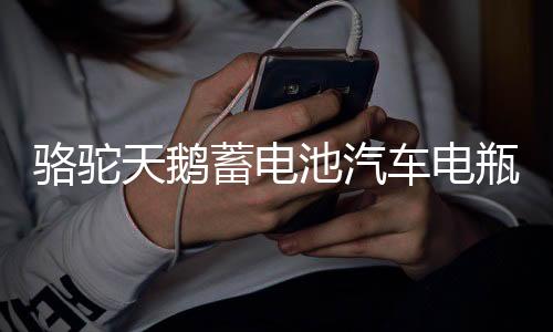 駱駝天鵝蓄電池汽車電瓶12V60AH55D26L馬自達(dá)6凱美瑞漢蘭達(dá)海馬S6