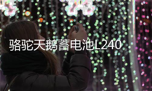 駱駝天鵝蓄電池L2400適配高爾夫邁騰明銳捷達(dá)力帆12V60AH汽車電瓶