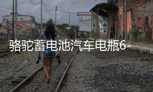 駱駝蓄電池汽車電瓶6-QW-110適配奔馳S奧迪Q7寶馬5寶馬7專用110AH