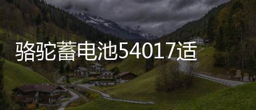 駱駝蓄電池54017適用比亞迪F0汽車電瓶40AH  以舊換新