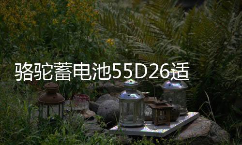 駱駝蓄電池55D26適配馬自達(dá)5索納塔凱美瑞60ah汽車(chē)電瓶 以舊換新