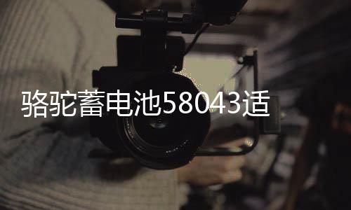 駱駝蓄電池58043適用于奧迪A6寶馬3系奔馳攬勝汽車電瓶 以舊換新