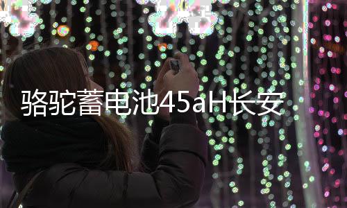 駱駝蓄電池45aH長(zhǎng)安之星2東風(fēng)小康K07S金杯小海獅X30適配汽車電瓶