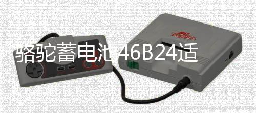 駱駝蓄電池46B24適配于起亞K2現(xiàn)代瑞納瑞奕 45ah汽車電瓶以舊換新